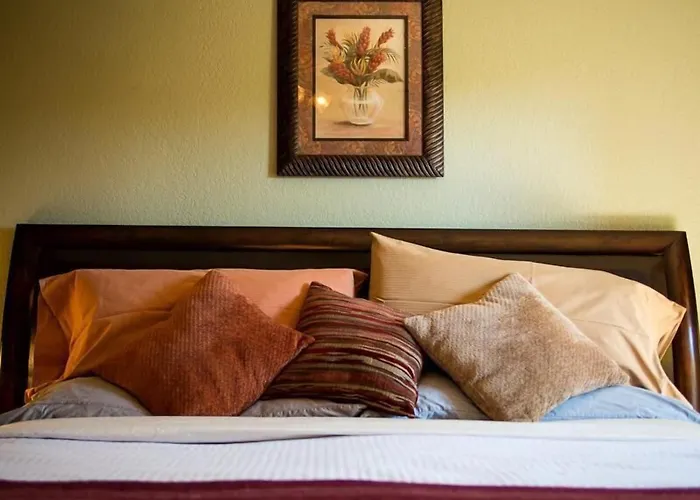 Cozy Cactus 4*